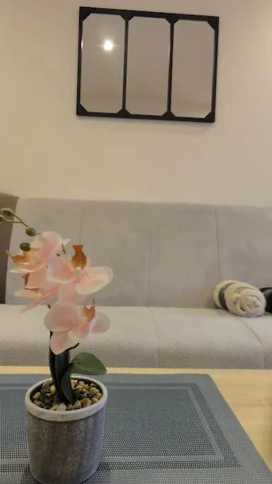Le Belvedere Dernier Etage Avec Terrasse Wifi Fibre Apartment Tarbes France